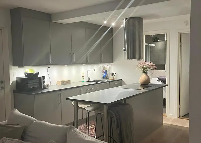 For Rent 3* Oslo